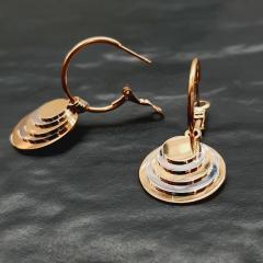 Anti Tarnish Earings 2